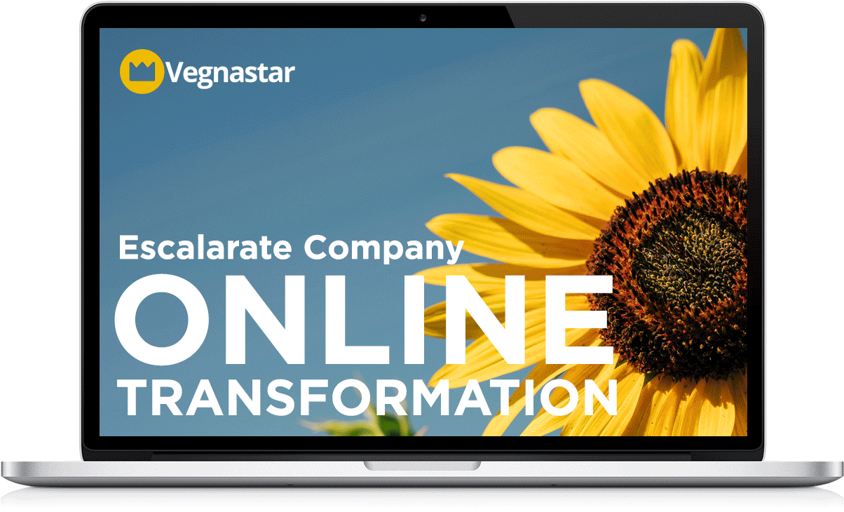 digital transformation indonesia